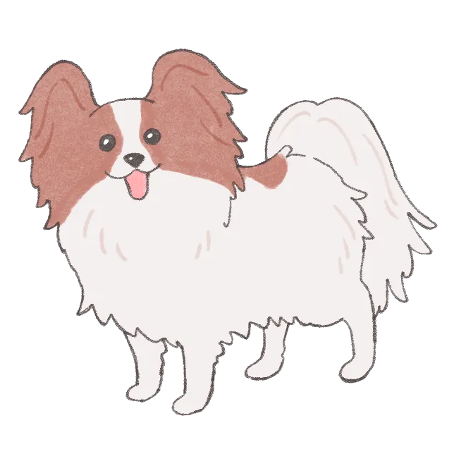 パピヨンのイラスト素材