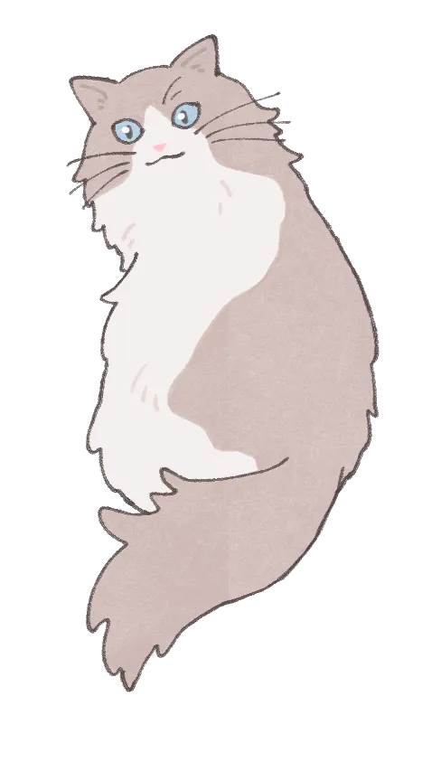 長毛猫のイラスト素材