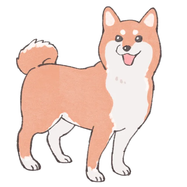 柴犬のイラスト素材