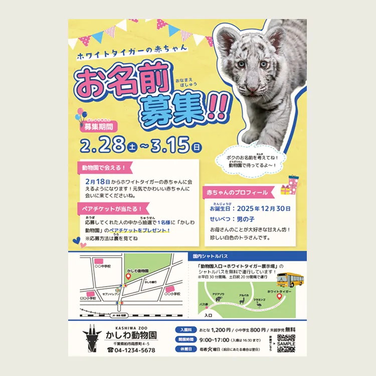 動物園のフライヤー