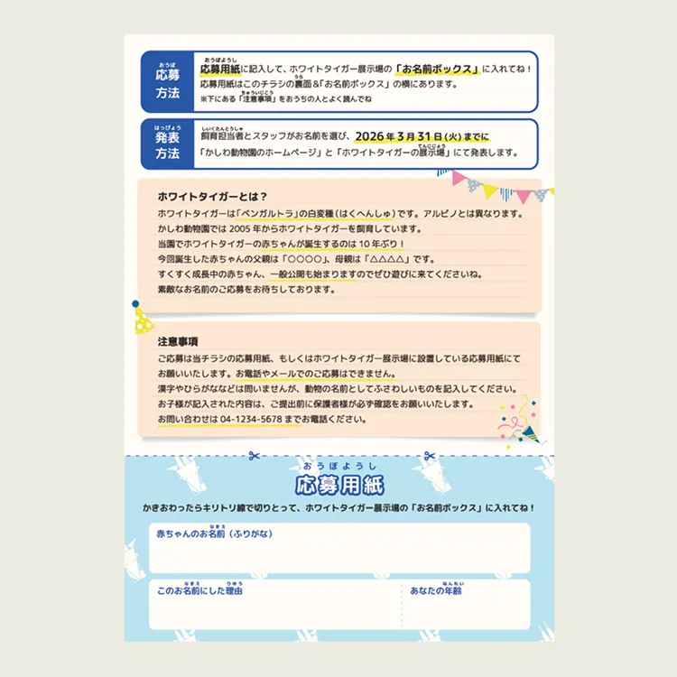 動物園のフライヤー