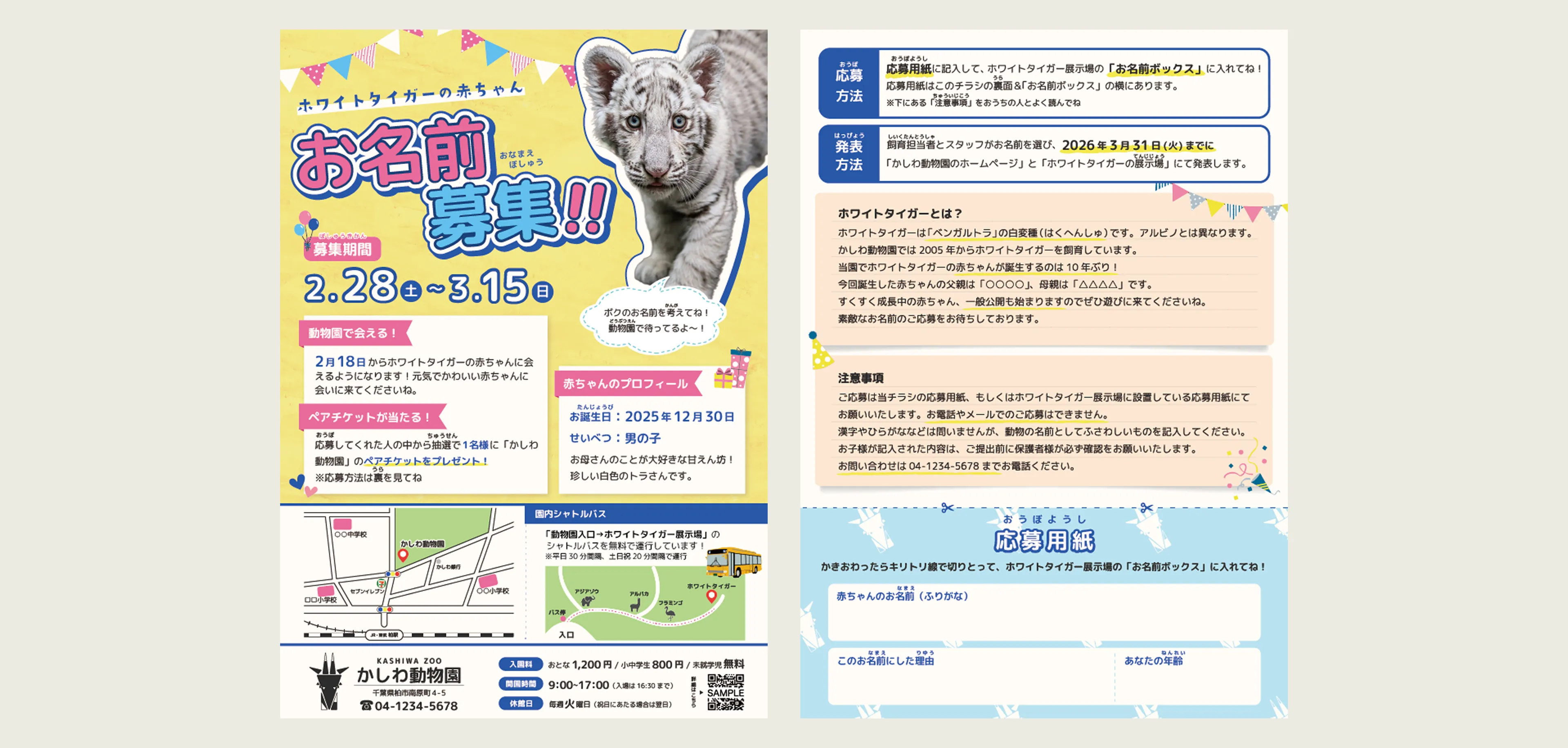 動物園のフライヤー