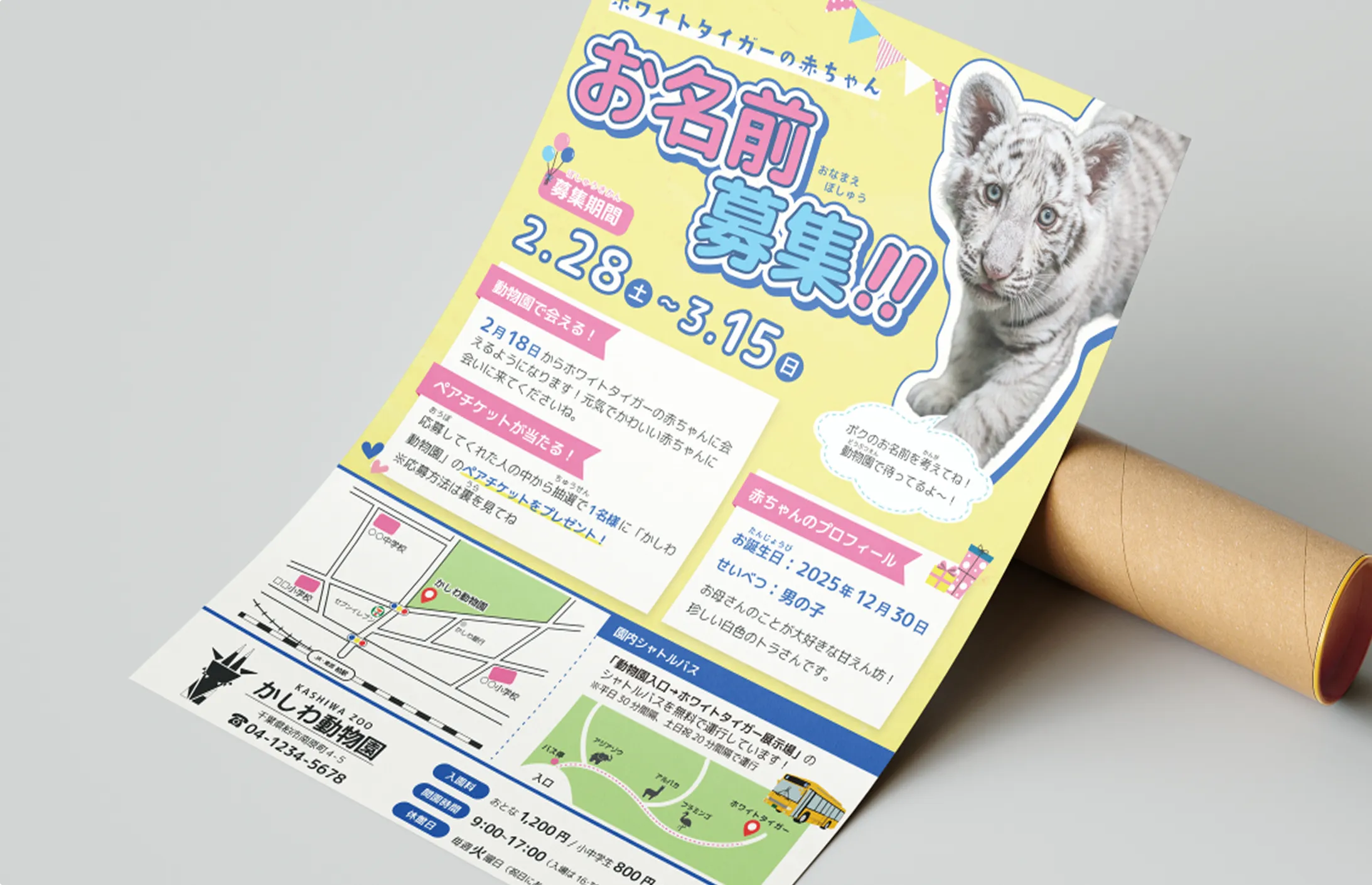 動物園のフライヤーのモックアップ画像